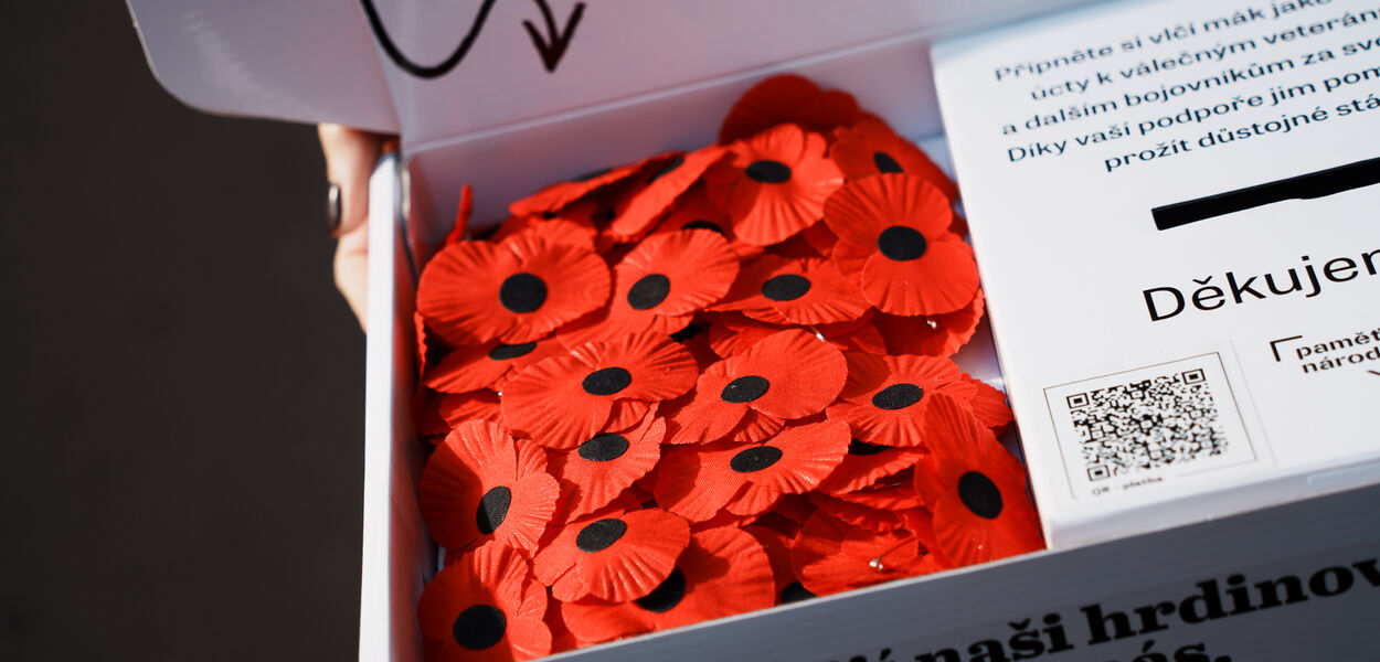 Vlčí máky v bílé krabici Vlčí máky v bílé krabici