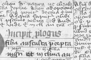 The Handbook of a Teacher at the St. George’s Convent. NL Prague, I F 29.