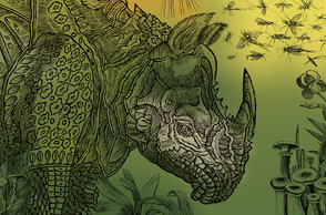 Historia naturalis