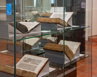 KOSMAS 900: Kronika v čase / Foto: Z. Homolka Fedorová