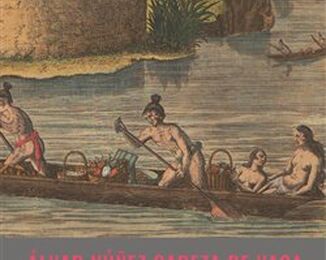 Álvar Núnéz Cabeza de Vaca: Ztroskotání