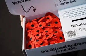 Sbírka ke Dni válečných veteránů