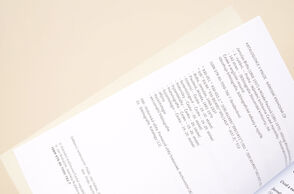 Provoz služby CIP o vánočních svátcích