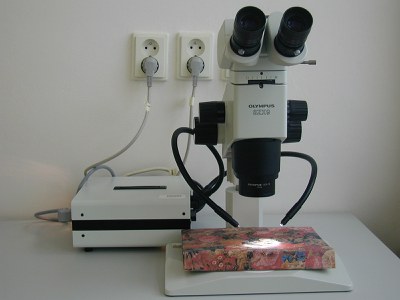 stereomikroskop SZX9